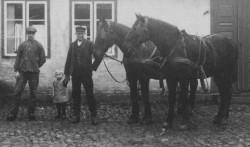 Karlene på Højgården fotograferet med deres arbejdsheste.
Markarbejdet og dermed hestene var først og fremmest mandens domæne. Derfor blev de ofte fotograferet sammen.