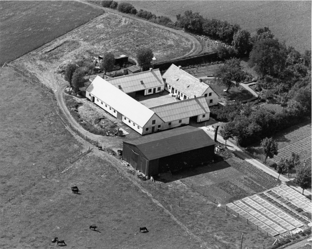 Søholt - luftfoto 1938