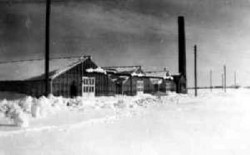 Hans Børge Jensens Gartneri vinteren 1946-47