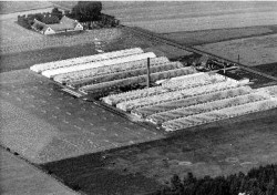 Poppelgården ses øverst i venstre hjørne. Drivhusene tilhører J.P. Frandsens gartneri. Luftfoto ca. 1930