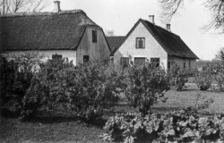 Stavnsbjerggård 1957