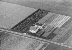 Luftfoto af Gartneriet Engvadsminde ca. 1930