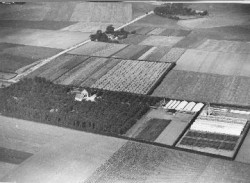 Gartneriet Nordlund set fra luften ca. 1930