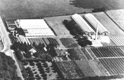 Luftfoto af Gartneriet Vesterled ca. 1939
