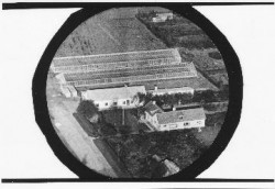 Luftfoto af gartneriet ca. 1949-1952
