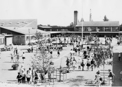Gildhøjskolen - børn i skolegården ca. 1969