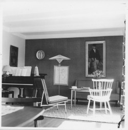 Stue i et nyopført papegøjehus 1952-53