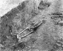 Skeletterne lå spredt og sjusket tæt under jordoverfladen. Om det var henrettelsesplads eller offerplads får vi næppe nogen sinde at vide.