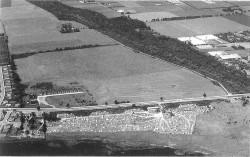 Dette luftfoto fra midten af 1960'eme giver indtryk af flyvepladsens beliggenhed fra hangarerne i vest til Vestvolden i øst. Flyvepladsen anes også som en lys tone i marken. I 1917 opførtes tre hangarer på Avedøre Flyveplads. En blev revet ned i forbindelse med Køgevejs udvidelse i 1930'eme. Tilbage står to smukke, fredede træbygninger, hvoraf staten har ladet den ene forfalde slemt i mange år.
(Foto HLA)
