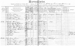 I folketællingslisten fra Avedøre, 1890, ses de mange svenskere, som for en tid opholdt sig der. Af denne side i listen fremgår, at der var flere, som ikke ønskede at afsløre deres identitet overfor tællingskommissæren.
(Folketælling 1890, Glostrup Sogn, Avedøre. Rigsarkivet.)