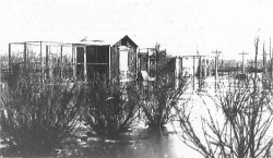 Hvidovres yderste bebyggelse var ikke altid landfast i forstadens barndom. 
Kystagervej under vand 1932.
(Foto HLA)