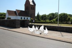 I en periode fungerede dåbsfadet fra Brøndbyøster Kirke som hønsetrug.