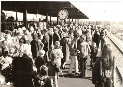 De mange fremmødte venter på S-toget og Dronning Margrethe. Billedet er taget og afleveret af George Lindevall.