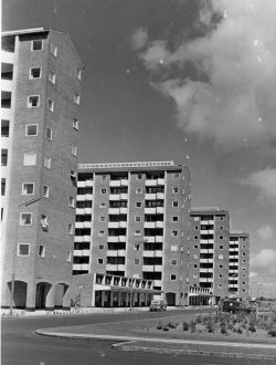 Efter 2. verdenskrig drømte man om gode moderne boliger med lys og luft  til alle. Brøndbyparken var et resultat af disse drømme.